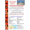 Zondag op de tomatenmarkt in Zwaagdijk